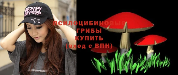 mdpv Алзамай