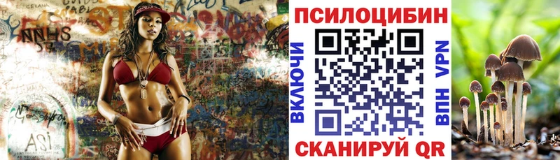 гидра ONION  Кириши  Галлюциногенные грибы Cubensis 