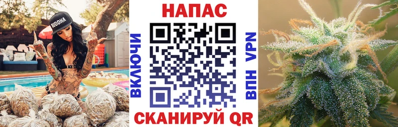 Шишки марихуана гибрид Кириши